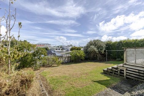 Photo of property in 20 Cameron Street, New Plymouth, 4310