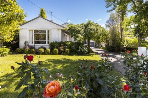 Photo of property in 18a Percy Street, Blenheim, 7201