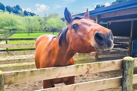 Photo of property in 42 Westminster Glen, Matakana, Warkworth, 0985