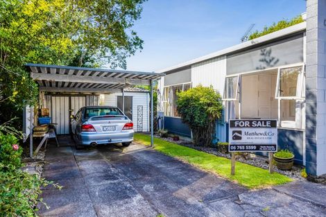 Photo of property in 113 Lemon Street, New Plymouth, 4312