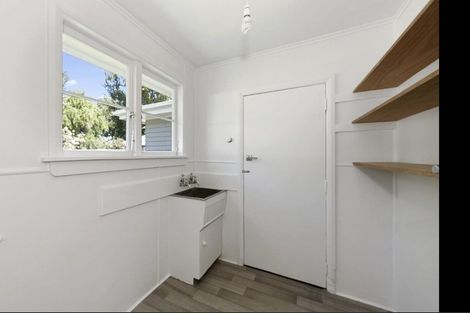 Photo of property in 141 Rimu Street, Maeroa, Hamilton, 3200