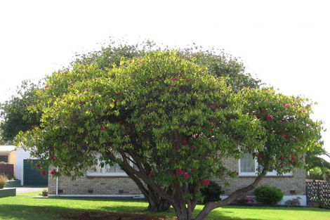 Photo of property in 9 Upland Road, Western Heights, Rotorua, 3015