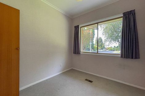 Photo of property in 20 Prospect Street, Putaruru, 3411