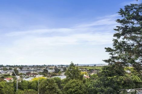 Photo of property in 23 Crail Court, Totara Heights, Auckland, 2105