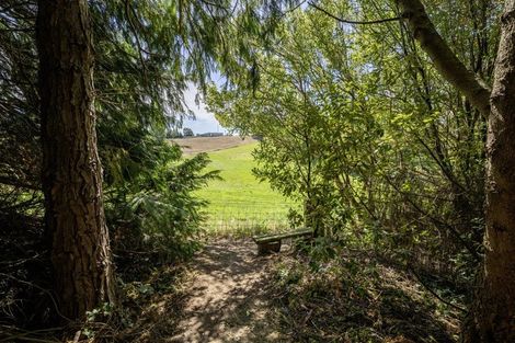 Photo of property in 15 Hillview Place, Pleasant Point, 7903