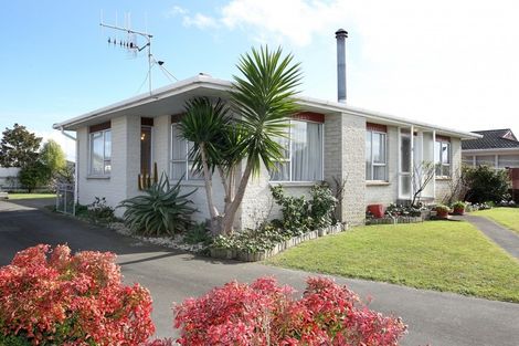 Photo of property in 81 Riverbend Road, Onekawa, Napier, 4110