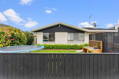 Photo of property in 38a Wood Street, Takaro, Palmerston North, 4410