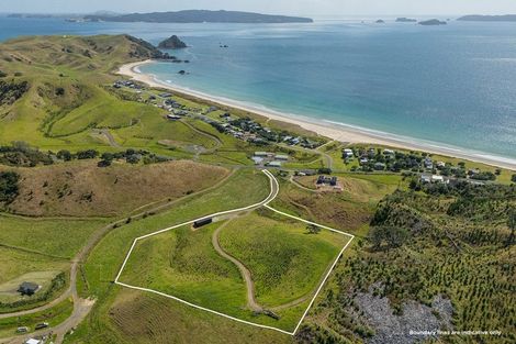 Photo of property in 838 Black Jack Road, Opito Bay, Whitianga, 3592