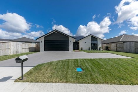Photo of property in 13 Matawhero Place, Ngaruawahia, Hamilton, 3288