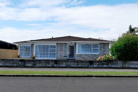 Photo of property in 1 Hadfield Street, Levin, 5510