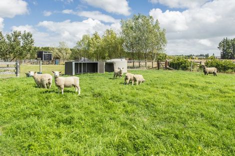 Photo of property in 17 Friars Lane, Leeston, 7632