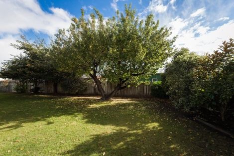 Photo of property in 8 Cherry Grove, Alexandra, 9320