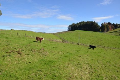 Photo of property in 80 State Highway 3, Piopio, 3970