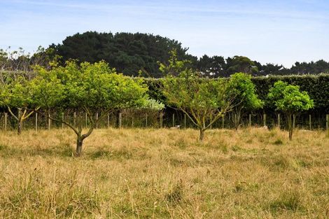 Photo of property in 1048 Normanby Road, Manaia, Hawera, 4678