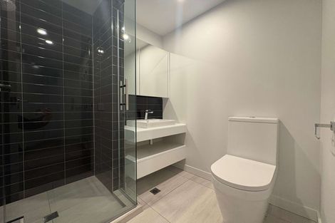 Photo of property in Pinnacle Apartments, W301/160 Victoria Street, Te Aro, Wellington, 6011