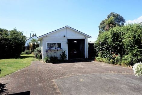 Photo of property in 46 Marchant Street, Putaruru, 3411