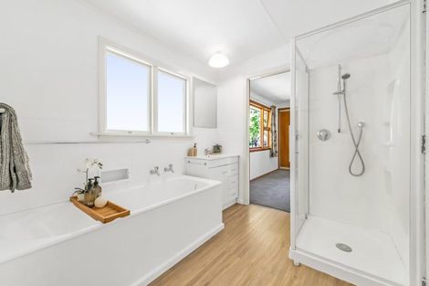 Photo of property in 113a Fisher Avenue, Beckenham, Christchurch, 8023