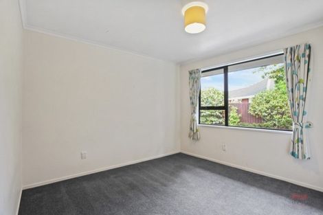Photo of property in 24 Vernon Terrace, Hillsborough, Christchurch, 8022