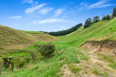 Photo of property in 1765 Tutukau Road, Ohakuri, Reporoa, 3083