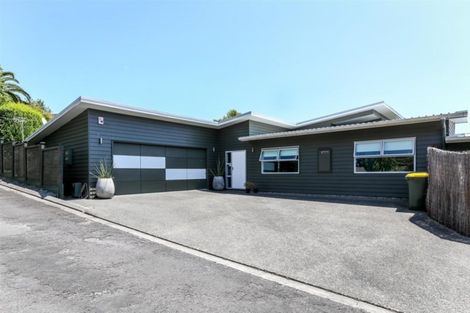Photo of property in 50 Roto Street, Hurdon, New Plymouth, 4310