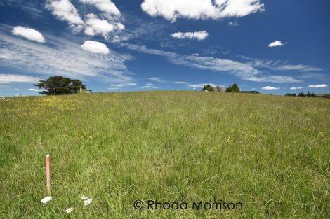 Photo of property in 47 Matahehe Lane, Tinopai, 0593