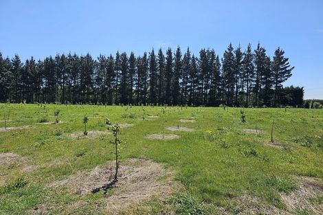 Photo of property in 577 Pesters Road, West Eyreton, Rangiora, 7475