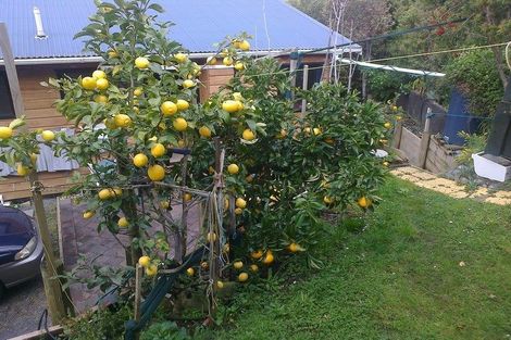 Photo of property in 150 Wyuna Bay Road, Wyuna Bay, Coromandel, 3581