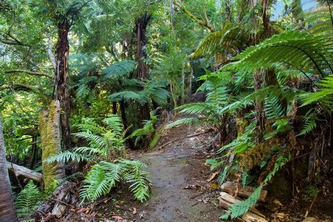 Photo of property in 60 Konini Street, Inglewood, 4330