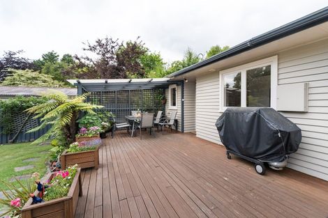 Photo of property in 9 Wyndham Street, Awapuni, Palmerston North, 4412