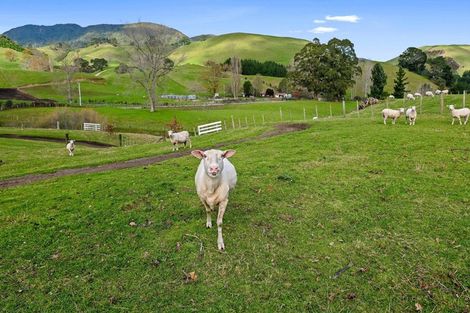 Photo of property in 410 Te Weta Road, Ngakuru, Rotorua, 3077