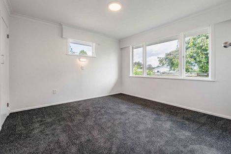 Photo of property in 22 Collingwood Street, Judea, Tauranga, 3110