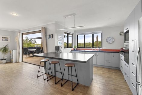 Photo of property in 113 Edinburgh Street, Pukekohe, 2120