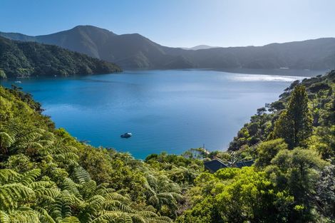 Photo of property in 3178 Blackwood Bay, Blackwood Bay, Marlborough Sounds, 7282