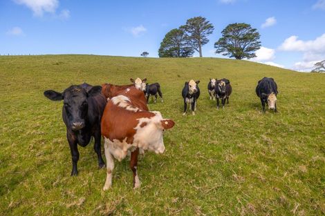 Photo of property in 200e Valley Road, Waimauku, 0881