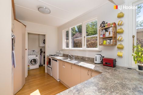 Photo of property in 66 Manchester Street, Bradford, Dunedin, 9011