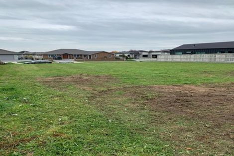 Photo of property in 51 Roy Hilton Drive, Flagstaff, Hamilton, 3210