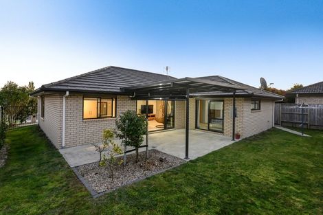 Photo of property in 14 Trauzer Place, Flagstaff, Hamilton, 3210