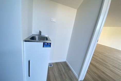 Photo of property in 17b Roxburgh Street, Sydenham, Christchurch, 8023