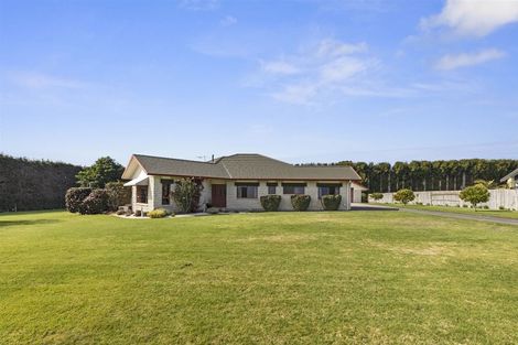 Photo of property in 57b Fairview Place, Te Puke, 3119