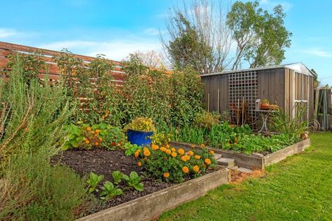 Photo of property in 116 Whitaker Street, Whataupoko, Gisborne, 4010