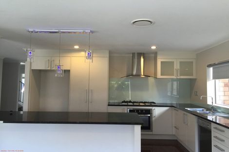 Photo of property in 30 Dromoland Drive, Flat Bush, Auckland, 2019