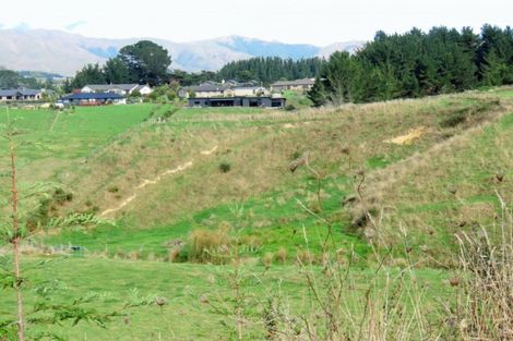 Photo of property in 91 Buckley Road, Shannon, Palmerston North, 4474