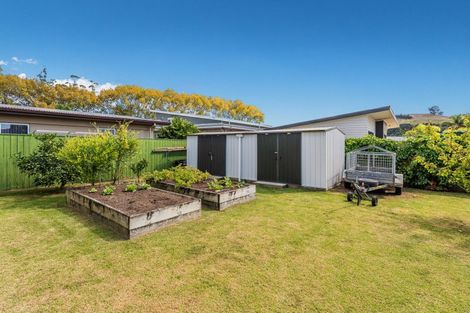 Photo of property in 24 Wells Place, Whitianga, 3510