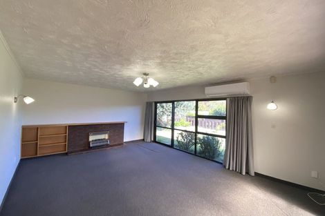Photo of property in 134a Avondale Road, Greenmeadows, Napier, 4112