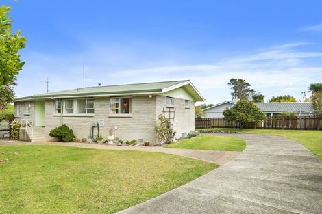 Photo of property in 55 Hall Road, Matua, Tauranga, 3110