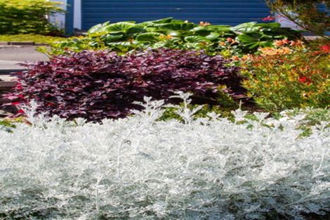 Photo of property in 9 Kaharoa Avenue, Omokoroa, 3114