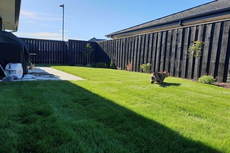 Photo of property in 49 Kilmurry Street, Halswell, Christchurch, 8025