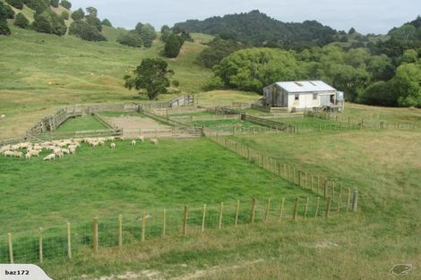 Photo of property in 54 Williamson Road, Manunui, Taumarunui, 3994