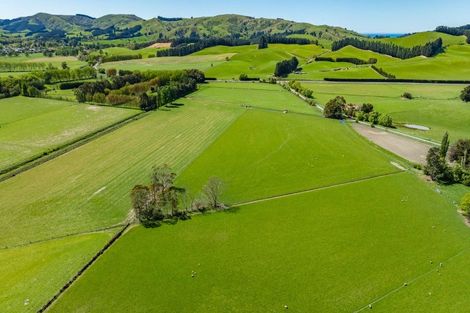 Photo of property in 62 Nonoti Road, Cheviot, 7383