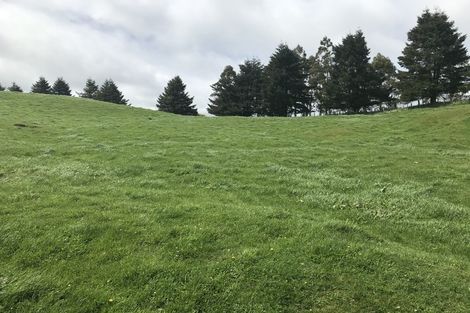 Photo of property in 473 Otake Road, Marotiri, Taupo, 3377